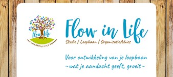 Flow in Life klein